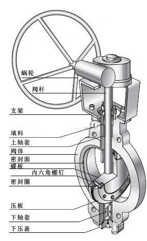 蜗轮对夹蝶阀